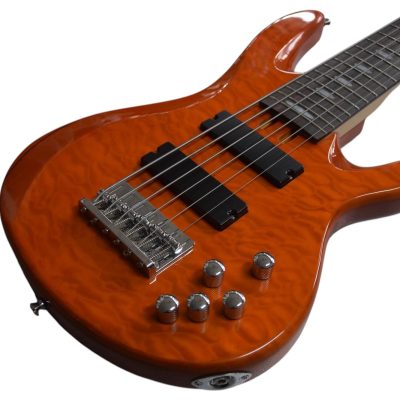 Custom Pearl TRB1006J Patitucci Caramel Brown Quilted Maple Top 6 String Bass - Image 6