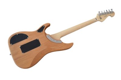Custom Aurelius Nuno N4 Bettencourt Electric Guitar Floyd Rose Tremolo - Image 9