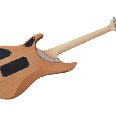 Custom Aurelius Nuno N4 Bettencourt Electric Guitar Floyd Rose Tremolo - Image 9