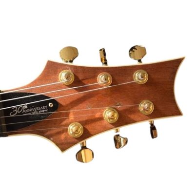 Custom Monarch 24 Green Flame Maple Top Guitar - Image 4