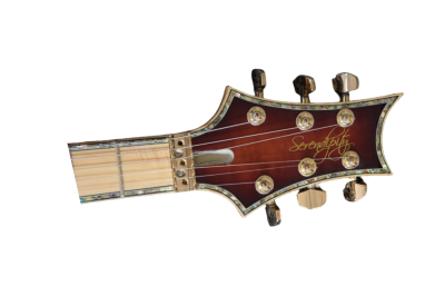 Custom Monarch Dustie Waring Figured Flamed Maple Top DW CE 24 Floyd Tremolo Guitar - Image 4