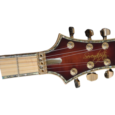 Custom Monarch Dustie Waring Figured Flamed Maple Top DW CE 24 Floyd Tremolo Guitar - Image 4