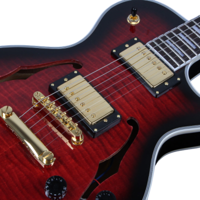 Custom Crown Black Cherry Burst Semi Hollow Body Florentine Single Cutaway Guitar - Image 2
