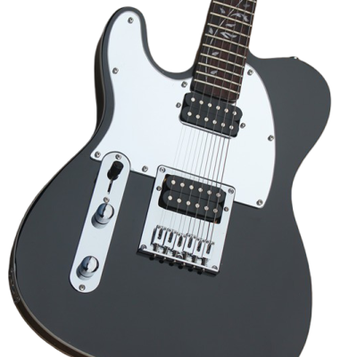 Custom Regent Satin Black Jim Root Tree Of Life Inlay Electric Guitar Left Handed