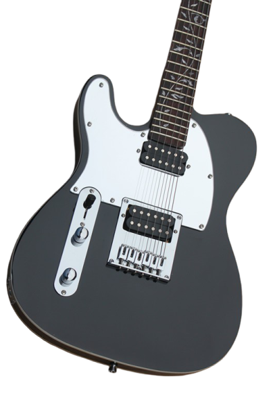Custom Regent Satin Black Jim Root Tree Of Life Inlay Electric Guitar Left Handed