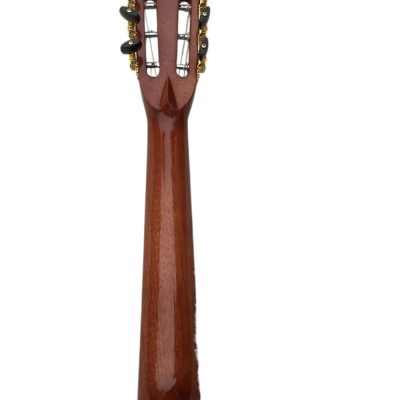 Custom Vertex D45 000 Dreadnought Solid Spruce Electric Acoustic Guitar Tree Of Life Abalone Inlaid - Image 3