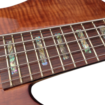 Custom Solis Emperor II Elite Single Cutaway Body Tiger Maple Top 5 String Bass - Image 6