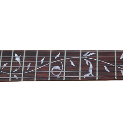 Custom Regent Satin Black Jim Root Tree Of Life Inlay Electric Guitar Left Handed - Image 5