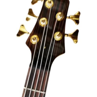 Custom Solis Imperial Single Cutaway Zebra Wood Body 5 String Bass - Image 3