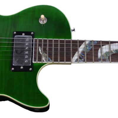 Custom Crown Green Flame Maple Top Snakepit Slash Electric Guitar - Image 5