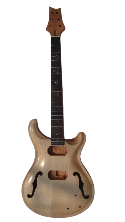 Custom Monarch SE DIY Unfinished Guitar Do It Yourself Semi-Hollow Kit