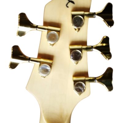 Custom Solis Imperial Single Cutaway Zebra Wood Body 5 String Bass - Image 6