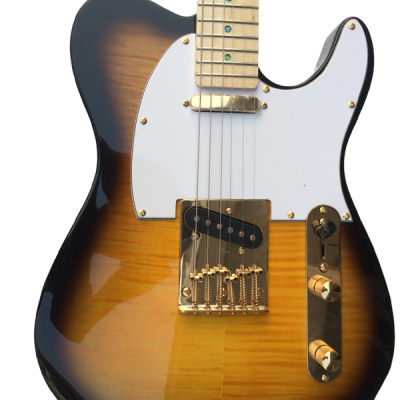 Custom Regent Merle Haggard Tuff Dog Flame Maple Top Trans Sunburst Guitar