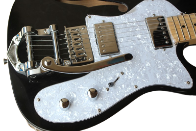 Custom Regent Thinline Fhole Bigsby Vibrato Tailpiece Gloss Black Electric Guitar - Image 7
