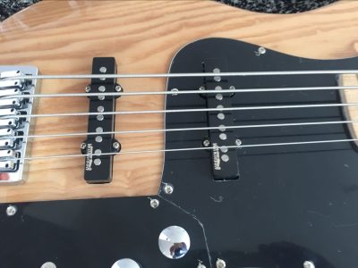 Custom Regent Ash Wood Miller 5 String Jazz Bass Marcus Maple Fretboard - Image 9