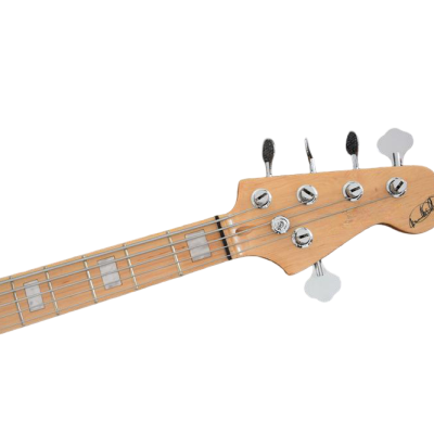 Custom Regent Ash Wood Miller 5 String Bass Marcus Maple Fretboard - Image 4