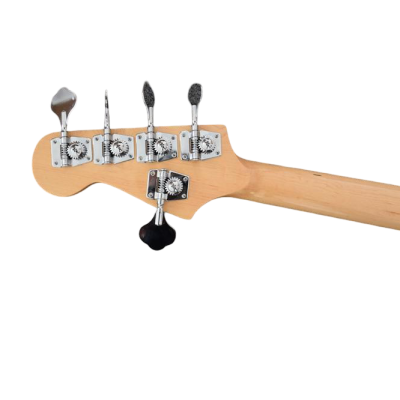 Custom Regent Ash Wood Miller 5 String Bass Marcus Maple Fretboard - Image 7