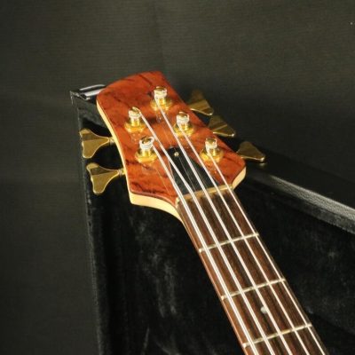 Custom Solis Emperor Single Cutaway Body 5 String Bass - Image 3