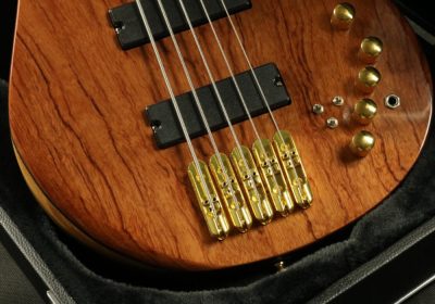 Custom Solis Emperor Single Cutaway Body 5 String Bass - Image 5