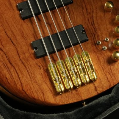 Custom Solis Emperor Single Cutaway Body 5 String Bass - Image 5