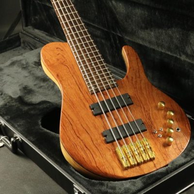 Custom Solis Emperor Single Cutaway Body 5 String Bass - Image 6