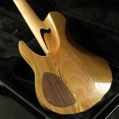 Custom Solis Emperor Single Cutaway Body 5 String Bass - Image 7