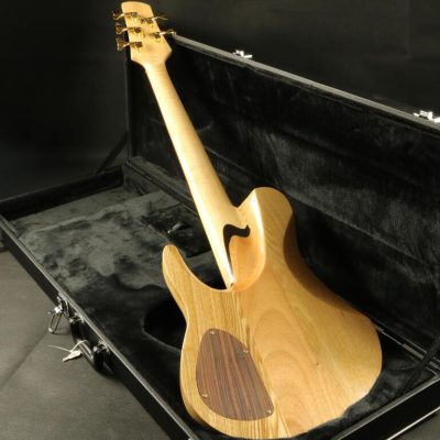 Custom Solis Emperor Single Cutaway Body 5 String Bass - Image 8