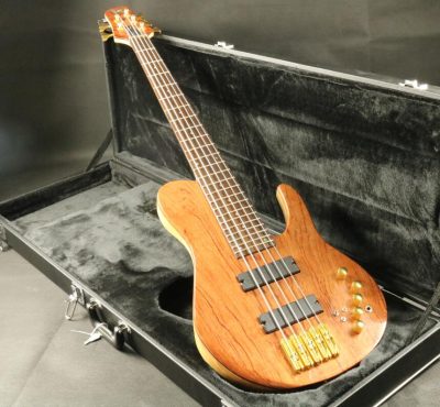 Custom Solis Emperor Single Cutaway Body 5 String Bass - Image 9