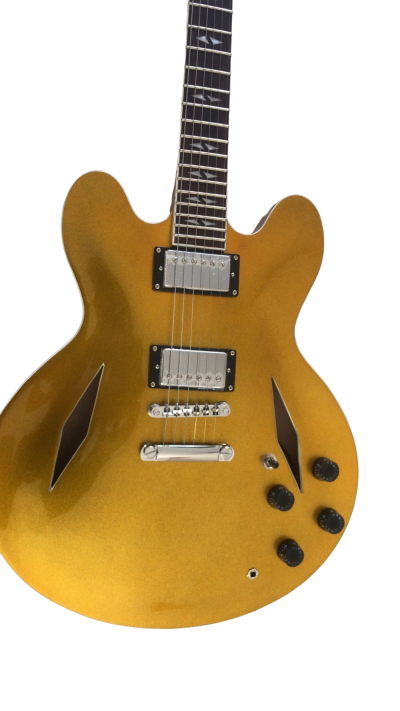 Custom Crown DG335 Dave Grohl Gold Finish 6 String Electric Guitar