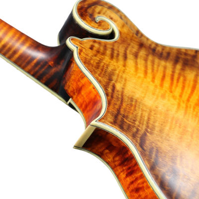 Custom Corundum Solid Flamed Maple Dovetail Sunburst Fhole Mandolin - Image 7