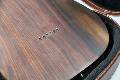 Custom Regent George Rosewood Brown Electric Guitar - Image 3