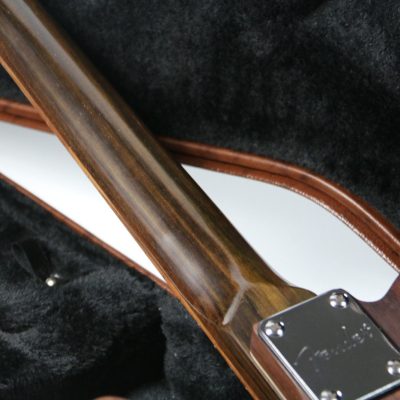 Custom Regent George Rosewood Brown Electric Guitar - Image 10