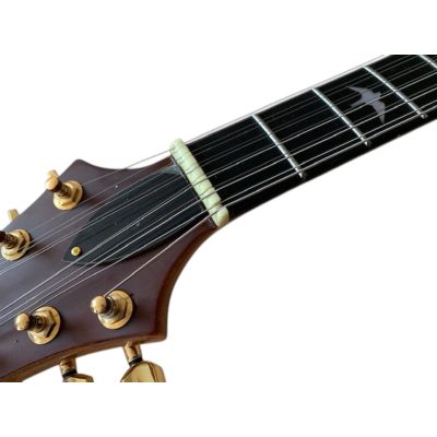 Custom Monarch Prism Meola Tremonti Quilted Maple Top Tri Color Multi Burst Guitar - Image 8
