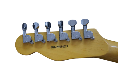Custom Regent Natural Amber Burst Mad Cat Electric Guitar - Image 5