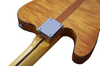 Custom Regent Natural Amber Burst Mad Cat Electric Guitar - Image 6