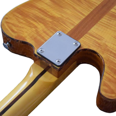 Custom Regent Natural Amber Burst Mad Cat Electric Guitar - Image 6