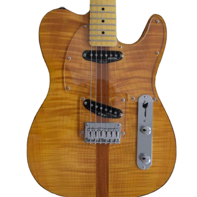 Custom Regent Natural Amber Burst Mad Cat Electric Guitar