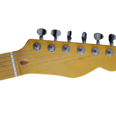 Custom Regent Natural Amber Burst Mad Cat Electric Guitar - Image 8