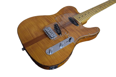 Custom Regent Natural Amber Burst Mad Cat Electric Guitar - Image 9