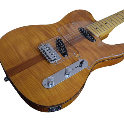 Custom Regent Natural Amber Burst Mad Cat Electric Guitar - Image 9