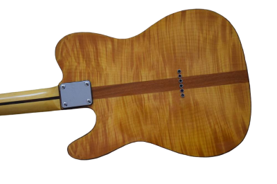 Custom Regent Natural Amber Burst Mad Cat Electric Guitar - Image 12