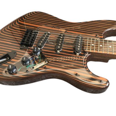 Custom Regent Zebra Wood 6 String Electric Guitar - Image 5