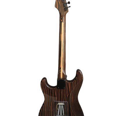 Custom Regent Zebra Wood 6 String Electric Guitar - Image 7