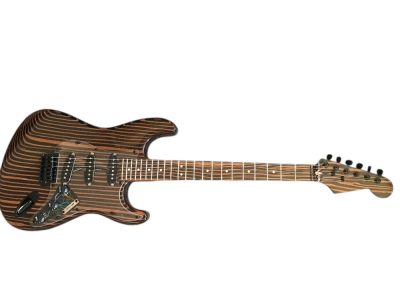 Custom Regent Zebra Wood 6 String Electric Guitar - Image 8