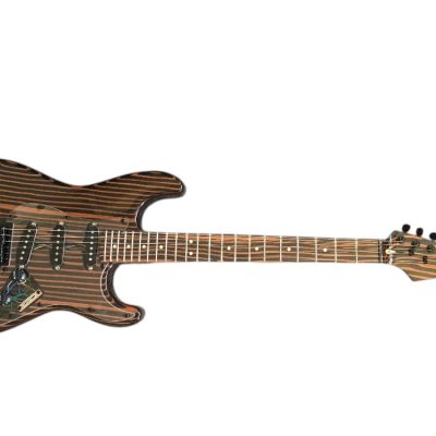Custom Regent Zebra Wood 6 String Electric Guitar - Image 8