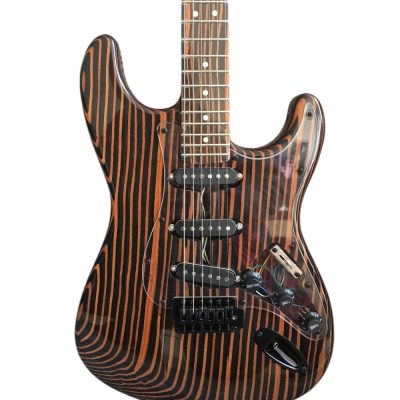 Custom Regent Zebra Wood 6 String Electric Guitar