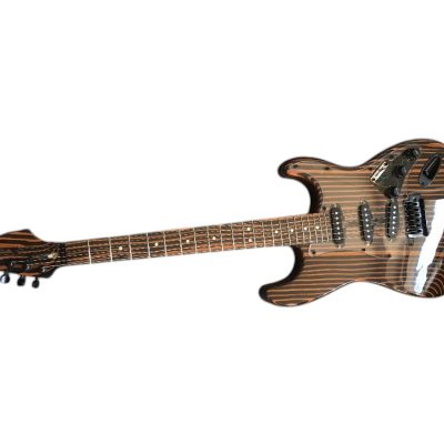Custom Regent Zebra Wood 6 String Electric Guitar - Image 12