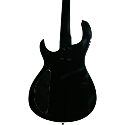 Custom Vanta Left Handed Transparent Sunburst Modul Quantum Graphite Phil 5 String Bass - Image 4