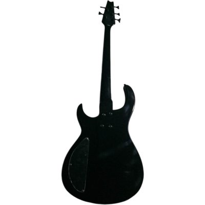 Custom Vanta Left Handed Transparent Sunburst Modul Quantum Graphite Phil 5 String Bass - Image 6