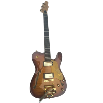 Custom Regent Thinline Jim Adkins Fhole Tobacco Sunburst Bigsby Guitar - Image 2